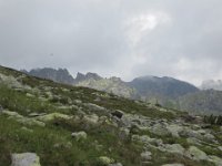 IMG 1616