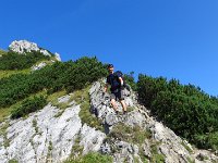 IMG 3085