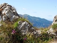 IMG 3092