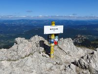 IMG 3099