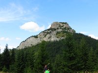 IMG 3126
