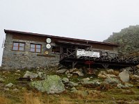 IMG 3305