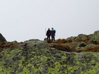 IMG 3306