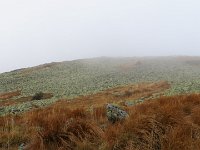 IMG 3312