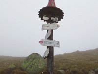 IMG 3315