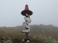 IMG 3316