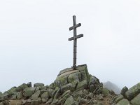IMG 3317