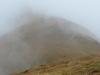 IMG 3324