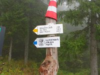 IMG 3343