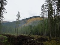 IMG 3360