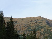 IMG 3382
