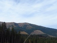 IMG 3396