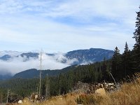 IMG 3399