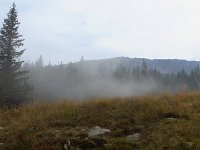 IMG 3404