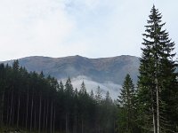 IMG 3405