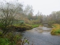 IMG 0119