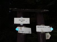 IMG 0274