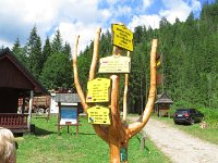 IMG 4008