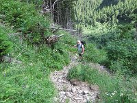 IMG 4011