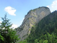 IMG 4014