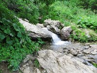IMG 4015