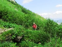 IMG 4016