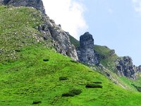 IMG 4020