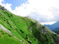 IMG 4023