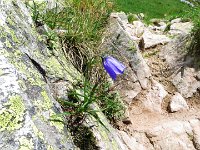 IMG 4025