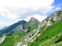 IMG 4026