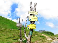 IMG 4027