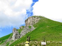 IMG 4028