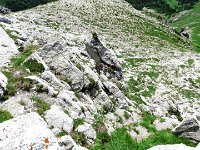 IMG 4029