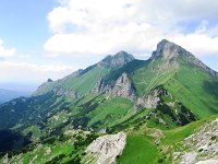 IMG 4030