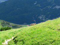 IMG 4043