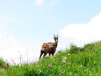 IMG 4044