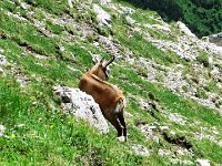 IMG 4047