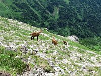 IMG 4054