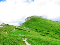 IMG 4056