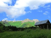 IMG 4066