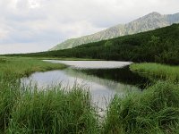 IMG 4070