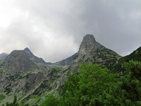 IMG 4071