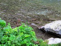 IMG 4098