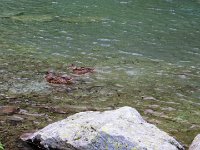 IMG 4099