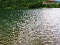 IMG 4103
