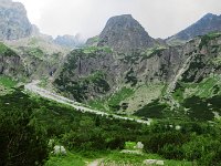 IMG 4109