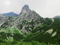 IMG 4110