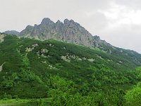 IMG 4111