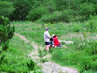 IMG 4115