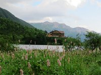 IMG 4117